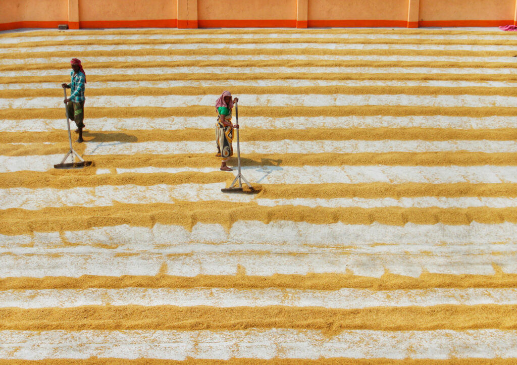 People moving yellow sand with large brooms