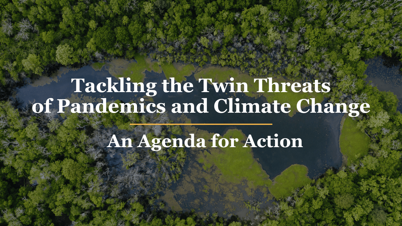 Tackling the Twin Threats of Pandemics and Climate Change: An Agenda ...
