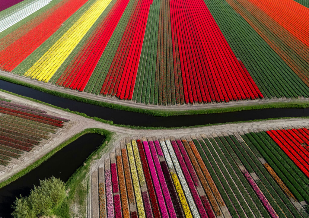 Aerial drone shot of colourful dutch countryside