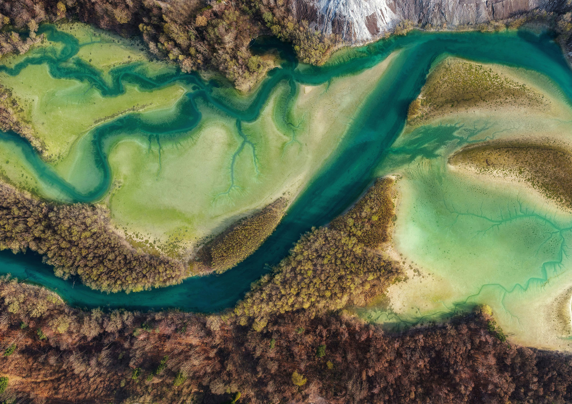 An aerial view of a river running through a forest
